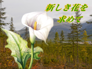タイトル画面